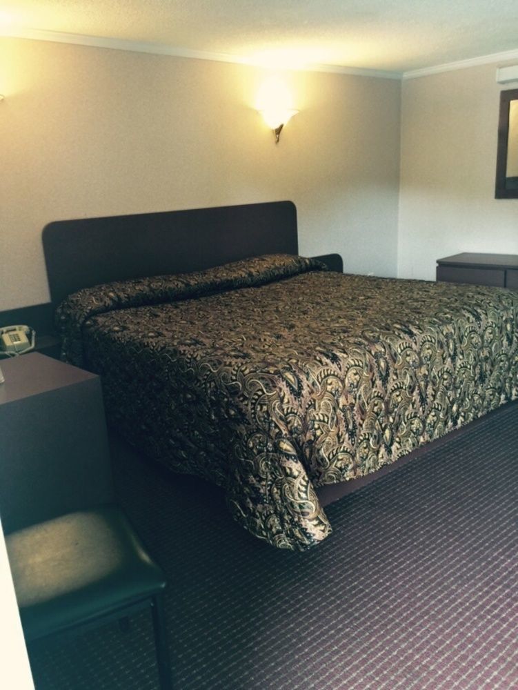 Skyview Motor Inn Johnston Kültér fotó